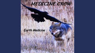 Owl Medicine