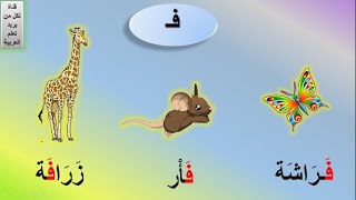 حرف الفاء | أشكال حرف الفاء | كلمات حرف ف | how to learn arabic | الدرس #42