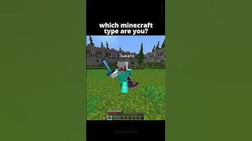 What Type Of Minecraft Player Are You? 🤫