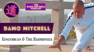 DMP #37 - Xingyiquan & The Harmonies by Damo Mitchell - Lotus Nei Gong 5,342 views 1 month ago 46 minutes