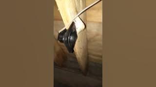 ALHAMDULILLAH 6 BULAN TEMBUS 50 SARANG BINAAN BANUA WALET SULBAR 081355617799