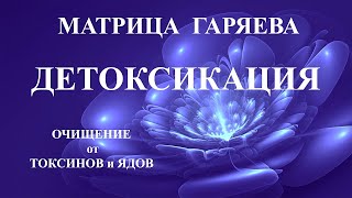 Матрица Гаряева🍀Квантовая Детоксикация Организма💠Matrix Garyaev🍀Quantum Detoxification Of The Body