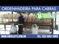 Ordenhadeira para Cabras da Ordeleite