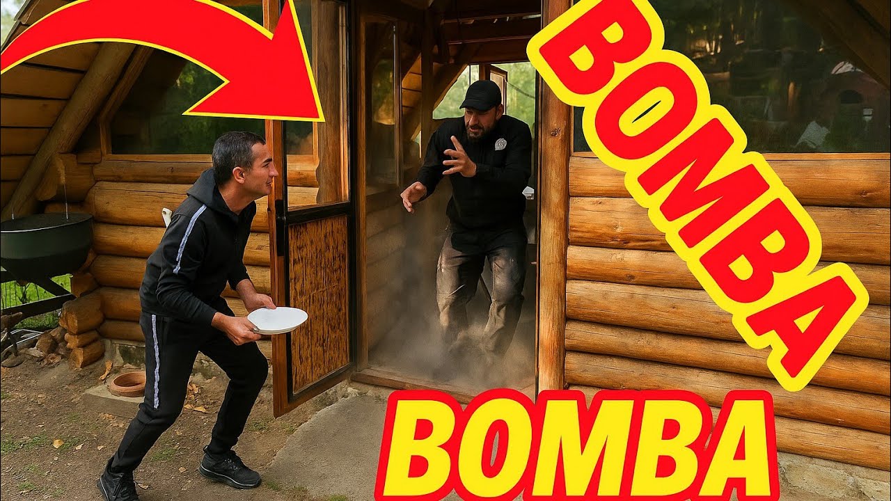 GATA CORNEL A CĂZUT ÎN CAPCANA Noastra de la Căsuța din Pădure 