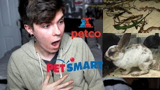 DONT BUY PETS FROM PETSMART/PETCO (You aren&#39;t rescuing them)