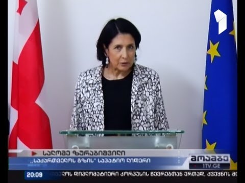 სალომე ზურაბიშვილი ცესკო-ს უჩივის