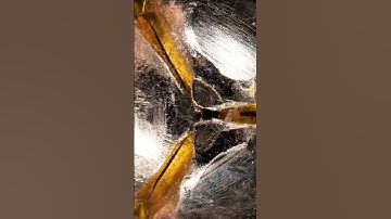 Can you guess this macro photo? Day 400