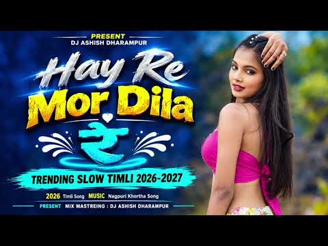 2026 New Trending Slow Timli Mix || Hay Re Mor Dila Re || Dj Ashish Dharampur