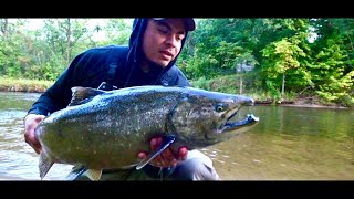 Michigan Fall Salmon Fishing!! (2021)