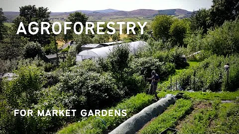 A FOREST GARDEN FARM: Agroforestry for market gardens (forest gardens & alley cropping)
