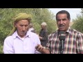 تقرير عبد الحميد دواجي ديرة منطقة واعدة بنجاح مشروع شجرة الزيتون علي تركي قناة نوميديا