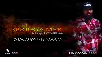 Sprigga Mek & 3KiiNgZ - WHEN U SPILL BLOOD  (Prod by Rifa Vela)