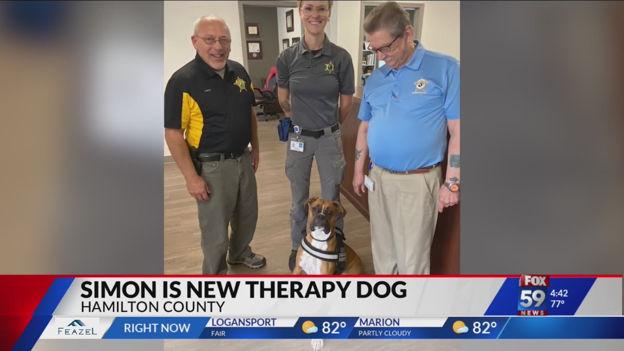 Hamilton County Coroner's office gets new therapy dog YouTube