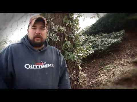 Tattle Tail Outdoors