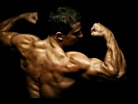 best-rep-range-for-muscle-growth
