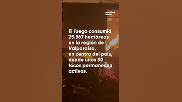 Ascienden a 64 los muertos por los incendios forestales en Chile