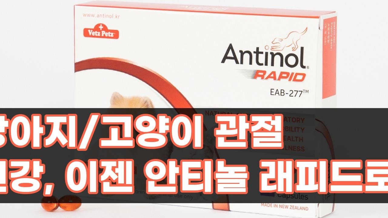 우리 강아지, 고양이 관절 건강 지킴이! 안티놀 래피드 솔직 후기