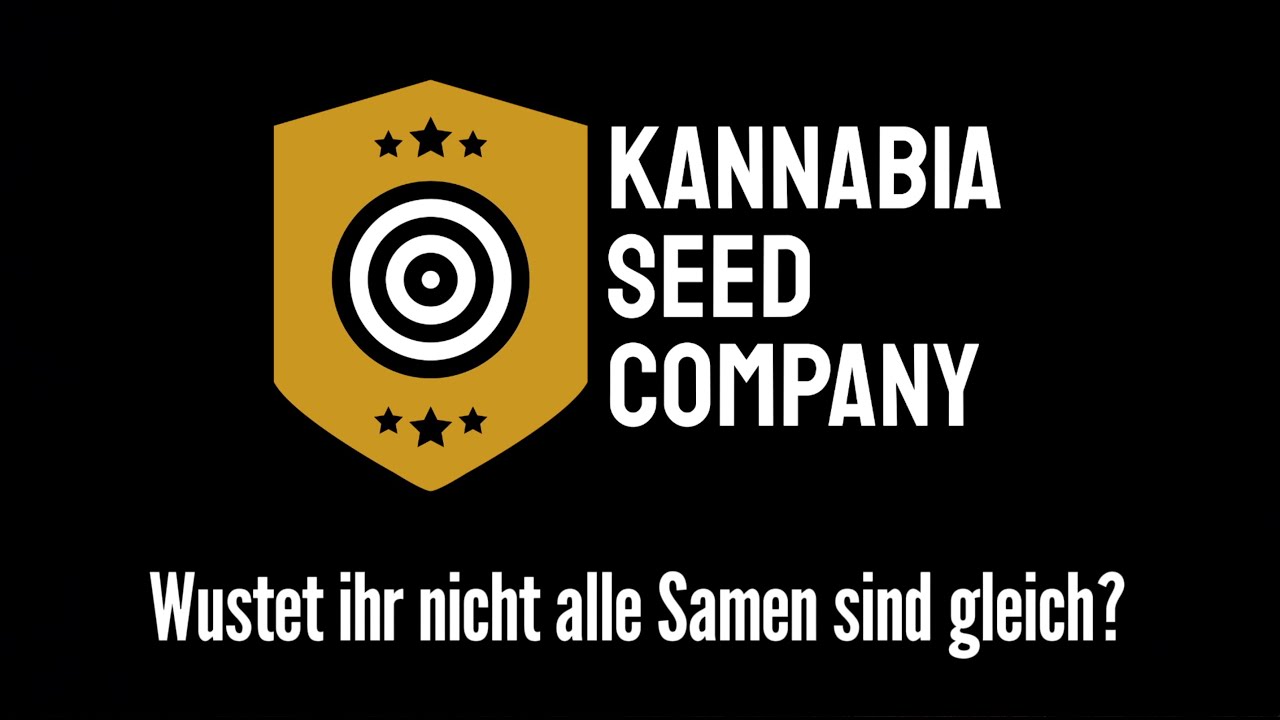 Kannabia & Die Hanfschule – Video 3: Samenarten & Neuheiten im Überblick!