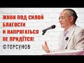 Живи под Силой Благости и напрягаться не придётся! Торсунов лекции