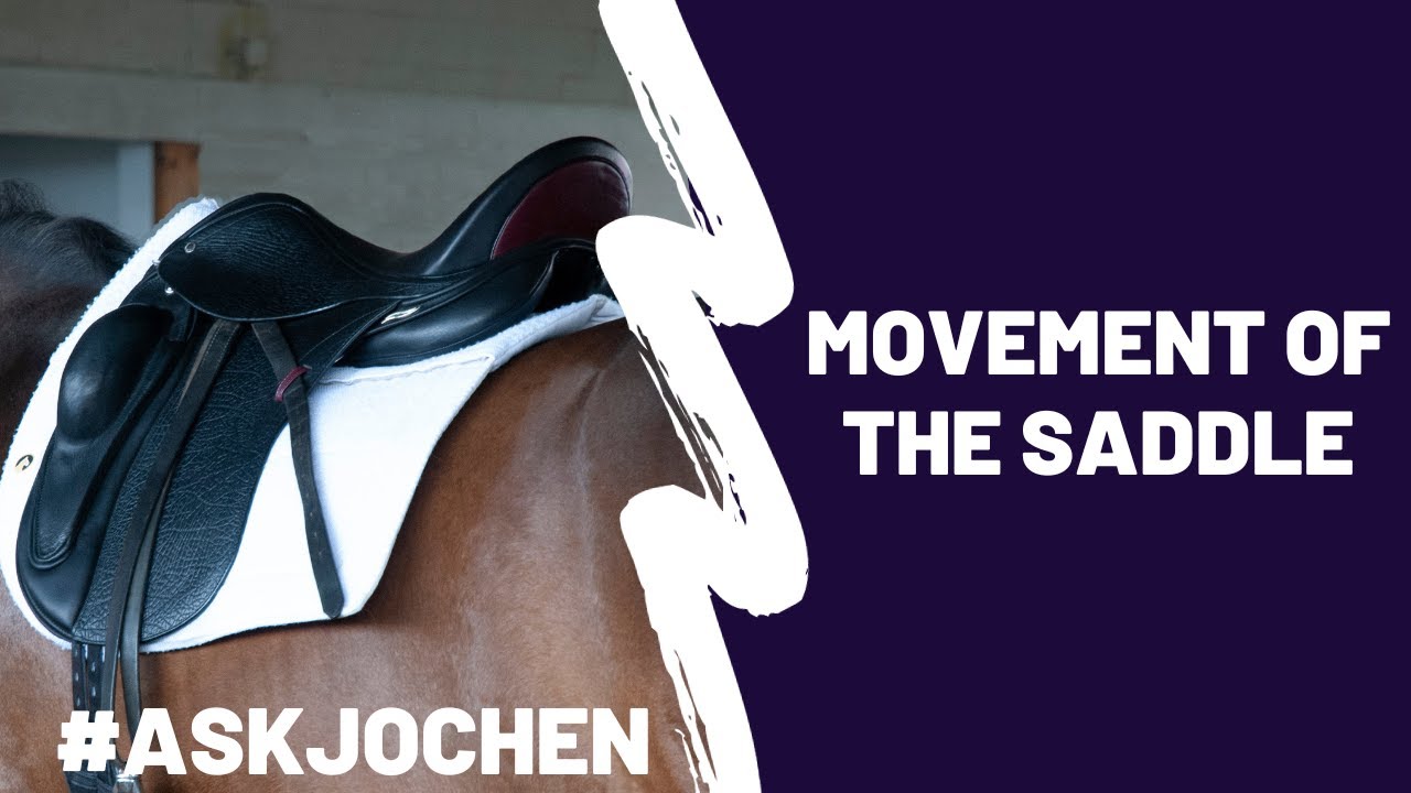 Movement in a Saddle | #ASKJochen | Livestream Q&A Excerpt - YouTube