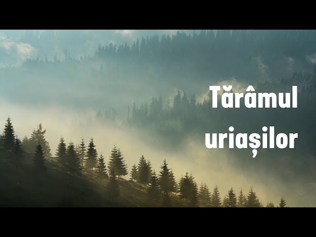 Țara Dornelor: Tărâmul uriașilor / The Realm of Giants