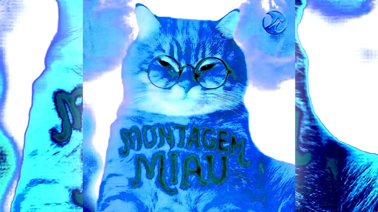MONTAGEM MIAU (EXTREME Slowed)