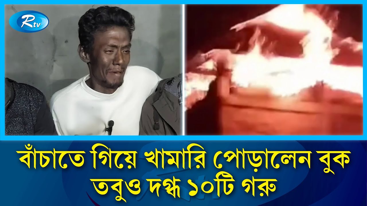 এক রাতেই পুড়ে ছাই ১০টি গরু, নিঃস্ব খামারি | Golapganj | Cattle Farm Fire | Sylhet | Rtv