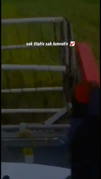 story lagu wa panen padi mesin combine // loro widodo abah lala