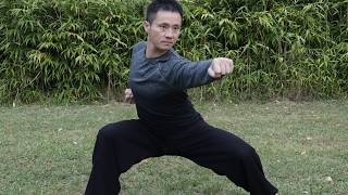 Today's Kung-Fu Practice: Horse Stance
