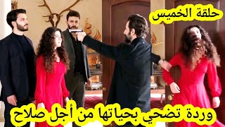 حلقة الخميس وردة تضحي بحيياتها من أجل أمير  أمير يقرر قتتل صلاح أمام أعين وردة قبل العرض على 2m