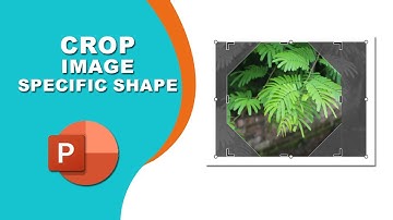 how to crop an image to a specific shape in PowerPoint