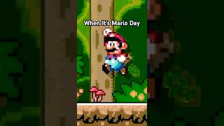 When Its Mario Day