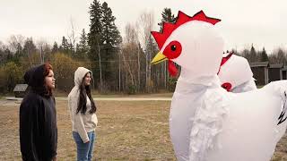 The Deadly Chicken Fight by Aurora Pitchenese