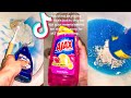 Cleaning and Organizing TikTok Compilation