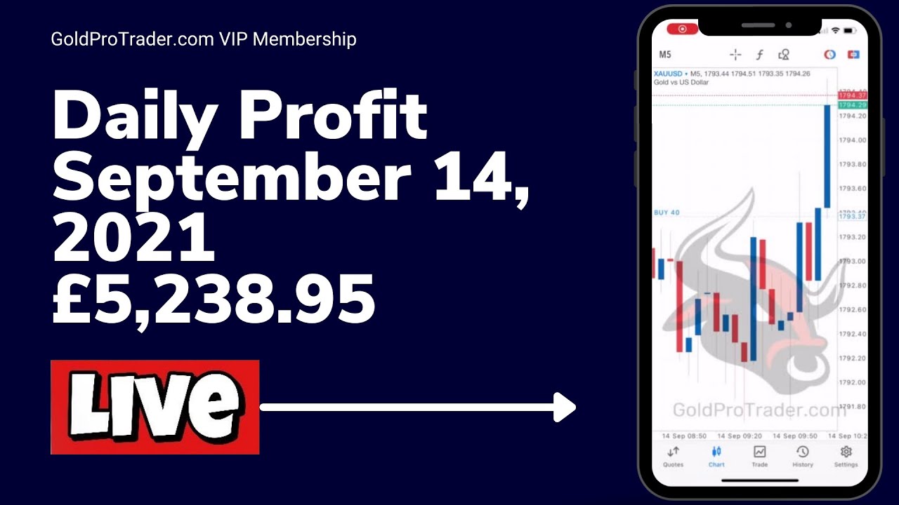 What is Forex Trading 2021