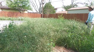 HELPING home owner in MILITARY with FREE YARD MAKEOVER, he is stationed out of state by MrCris 31,986 views 1 month ago 35 minutes