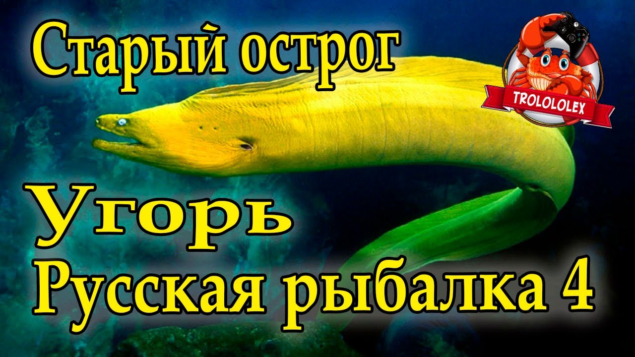Рр3 волга угорь