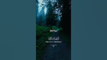 سورة الجاثية | الشيخ ياسر الدوسري