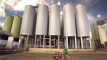 Fat Tire Ale - Want a Beer?