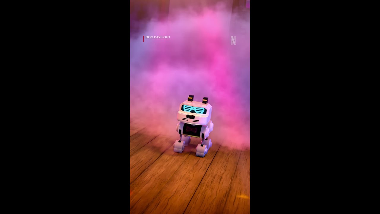 doggie dance-off! 🐶🪩 Dog Days Out