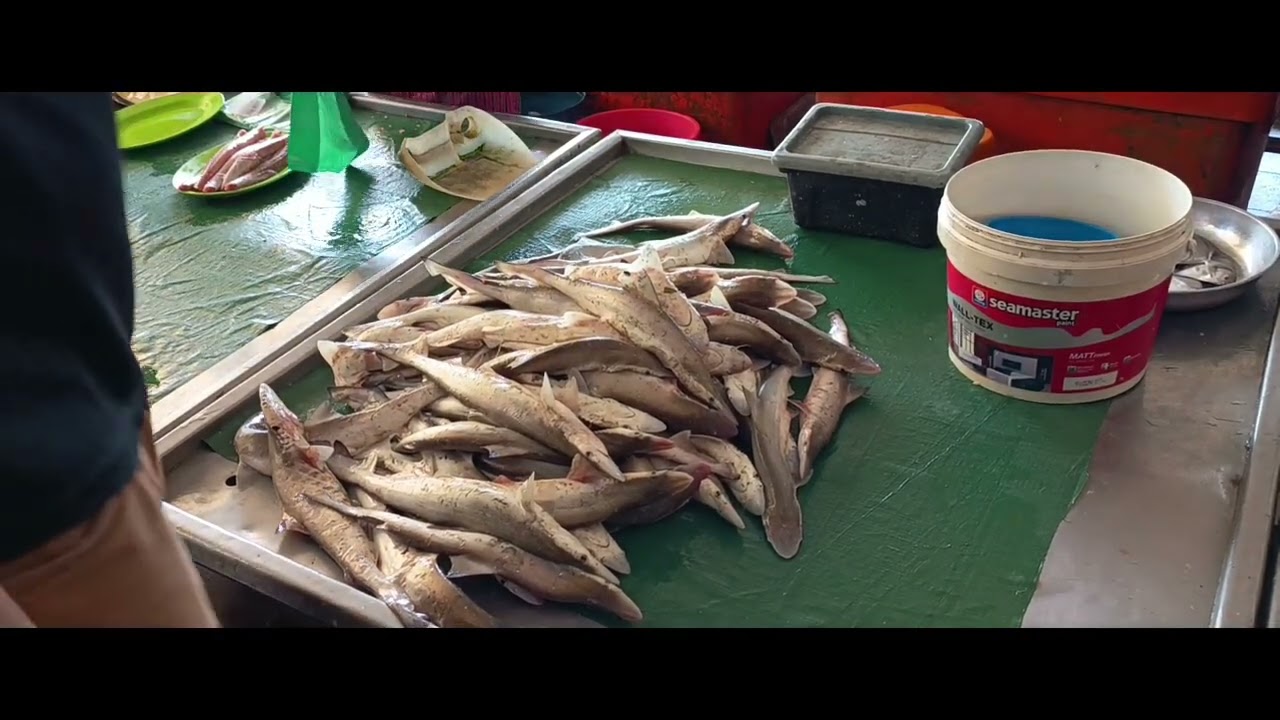 JALAN JALAN DEKAT MUKAH ,SARAWAK #sarawak #mukah #Sibu