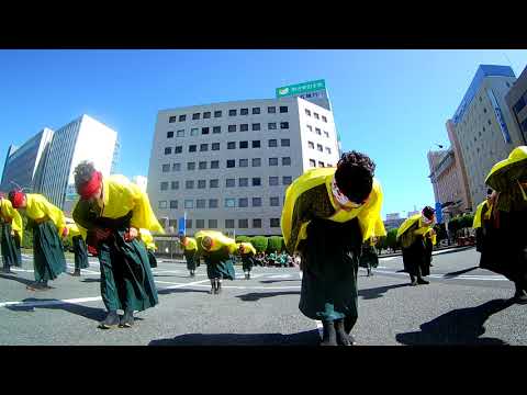 16 どすこい 安濃津よさこい2019 津駅前会場 wide
