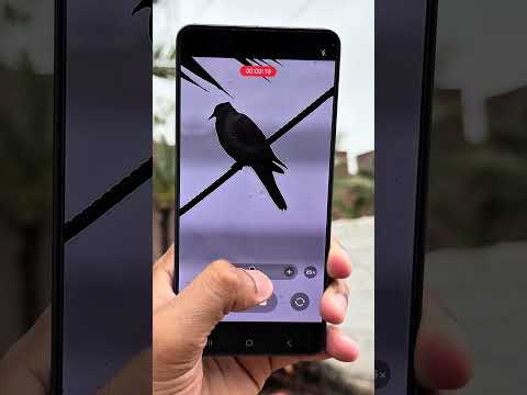 Galaxy S26 Ultra Zoom Is INSANE 🤯 #galaxys26ultra #s26ultra