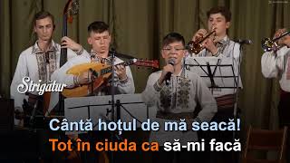 Sebastian Reniță - Când aud cucul cântând. 🄺🄰🅁🄰🄾🄺🄴