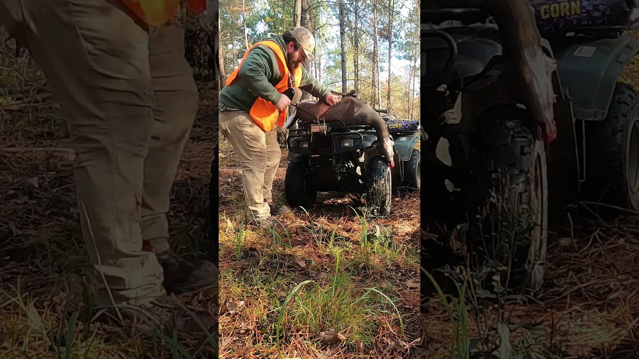 POW…right in the face. 