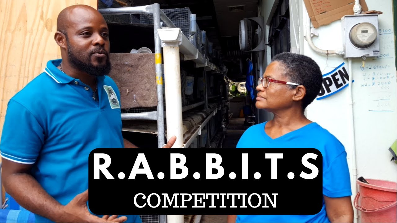 R.A.B.B.I.T.S. Competition YouTube