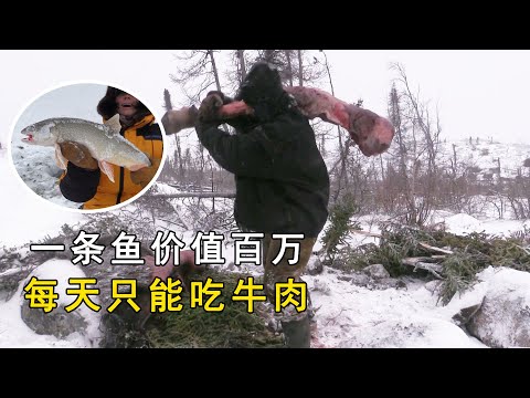 They all want to catch fish on the ice. Or you can only eat beef