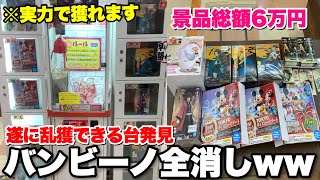 【神回】遂にあの有名な確率機で全消ししましたwww【クレーンゲーム】