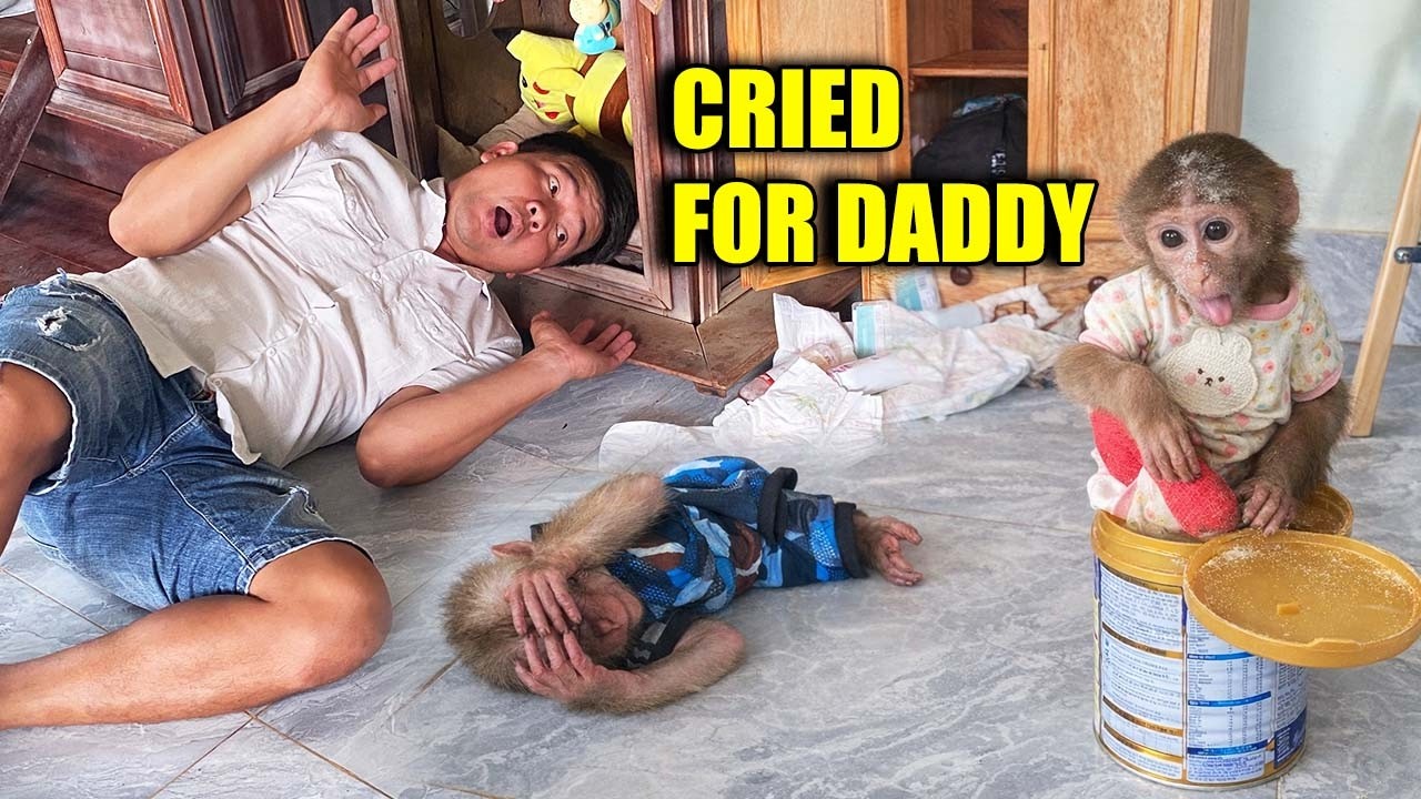 Baby Monkey So Hyper All Day Then Cries for Daddy’s Milk 🥺