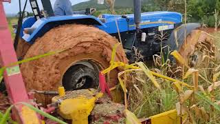 7630 com forrageira MENTA FORT na silagem #agricultura #roça #safra #agro